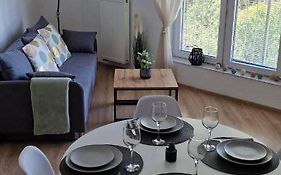 Cosy Apartment W Poblizu Tauron Arena