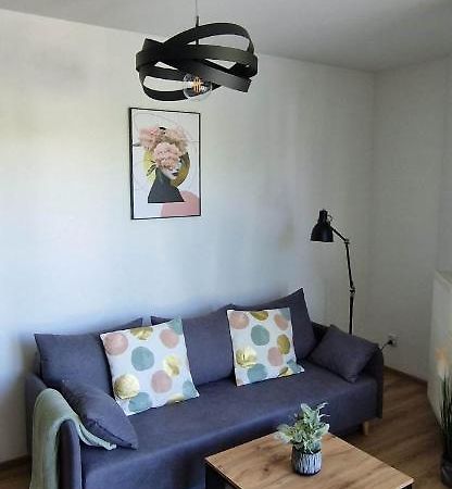 Cosy Apartment W Poblizu Tauron Arena Kraków Zewnętrze zdjęcie