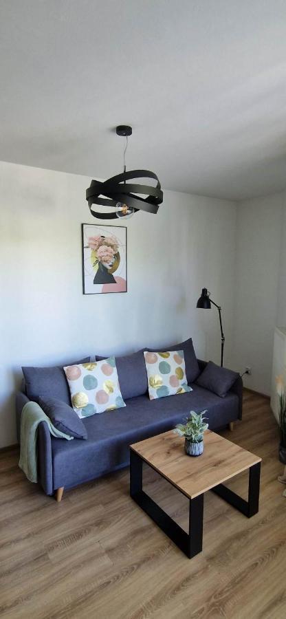 Cosy Apartment W Poblizu Tauron Arena Kraków Zewnętrze zdjęcie